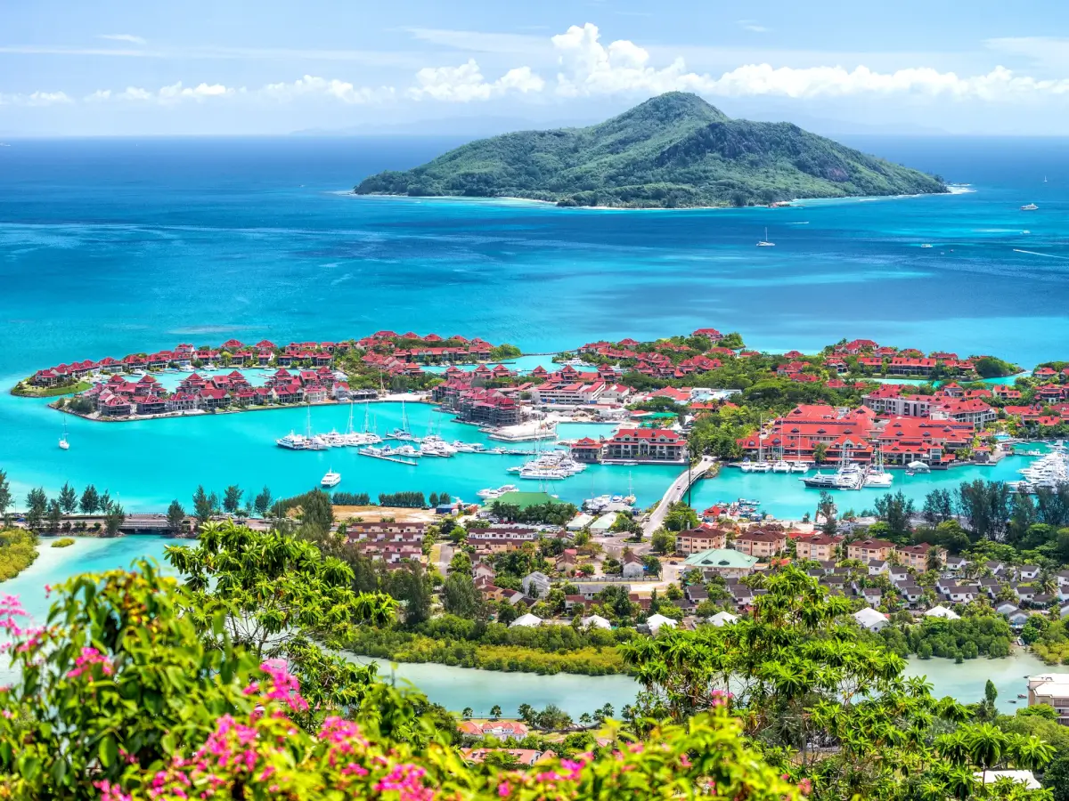 Elev8 Secures Seychelles Brokerage Licence