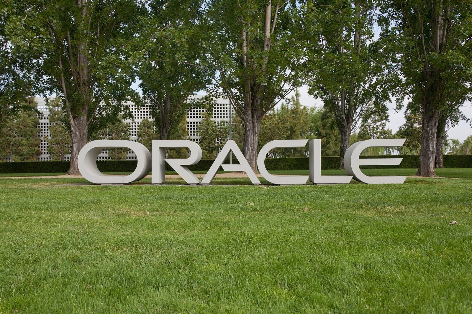 Oracle Expects Half of Its $664B RPO as Revenue Within 36…